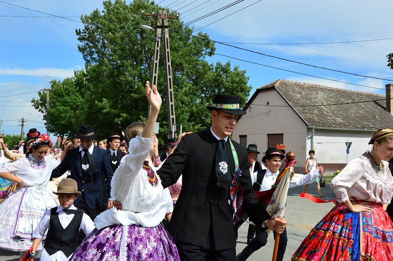 DSC_0313 (Medium).JPG